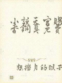 小说天官赐福墨香铜臭免费全文下载