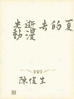 光逝去的夏天 动漫