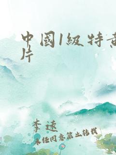 中国1级特黄大片