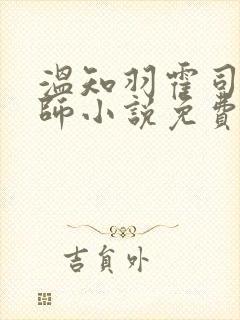 温知羽霍司砚律师小说免费阅读在线