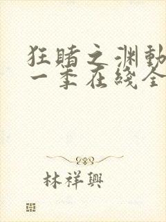 狂赌之渊动漫第一季在线全集免费观看