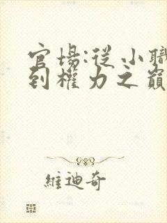 官场:从小职员到权力之巅 第344章