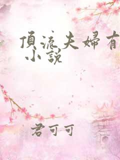 顶流夫妇有点甜 小说