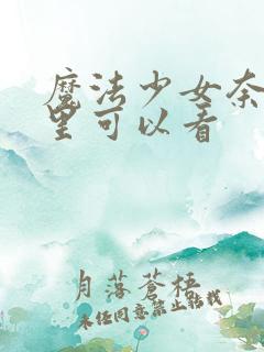 魔法少女奈叶哪里可以看