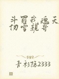 斗罗我魂天帝千仞雪亲哥