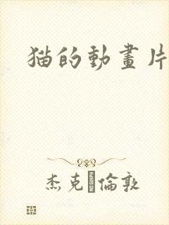 猫的动画片国产