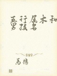 五行属木和火的男孩名