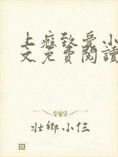 上瘾致爱小说推文免费阅读