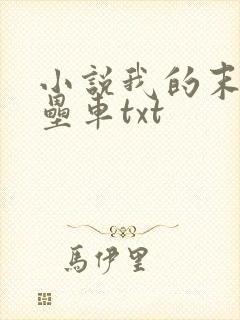 小说我的末日堡垒车txt