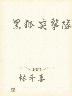 黑狐突击队全集