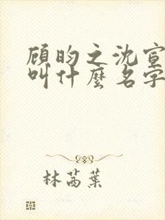 顾昀之沈宣小说叫什么名字