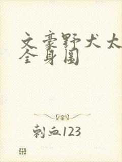 文豪野犬太宰治全身图