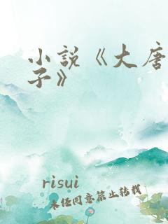 小说《大唐皇太子》