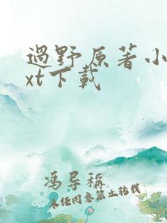 过野原著小说txt下载