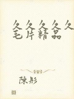 久久久久久久久毛片精品