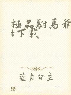 极品驸马爷txt下载