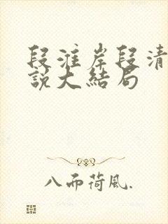 段淮岸段清姝小说大结局