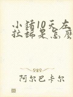 小猪10天左右拉稀是怎么回事