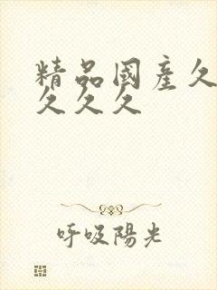 精品国产久久久久久久