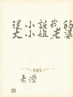 从小说我的傲娇大小姐老婆小说