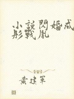 小说闪婚成宠海彤战胤