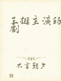 王挺主演的电视剧