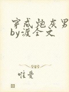 穿成炮灰男妻后by渡全文