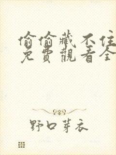 偷偷藏不住剧漫免费观看全集