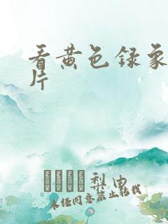 看黄色录象一级片