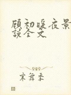 顾初暖夜景寒小说全文