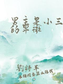 男主是小三的爱的卑微