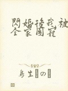 闪婚后我被老公全家团宠