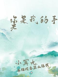 你是我的手冢国光