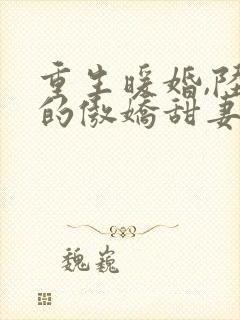 重生暖婚,陆少的傲娇甜妻