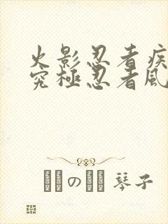 火影忍者疾风传究极忍者风暴2下载