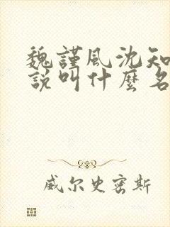 魏谨风沈知玉小说叫什么名字