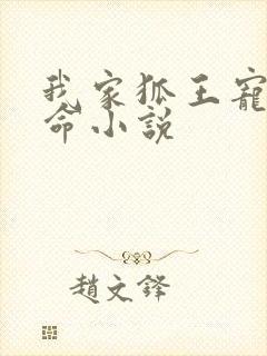 我家狐王宠妻如命小说