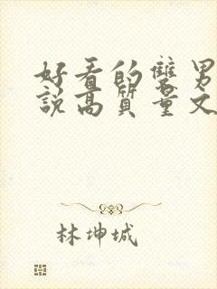 好看的双男主小说高质量文笔好