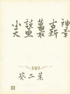 小说万古神帝飞天鱼最新章节列表最