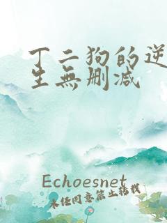 丁二狗的逆袭人生无删减