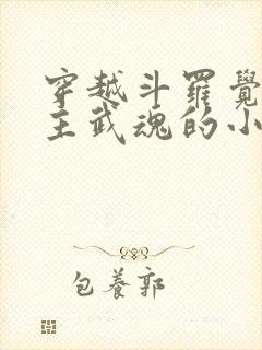 穿越斗罗觉醒圣主武魂的小说