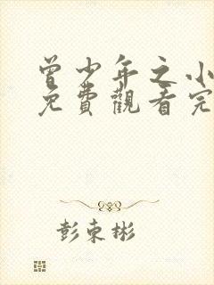 曾少年之小时候免费观看完整版高清