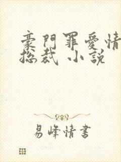 豪门罪爱情挑恶总裁 小说