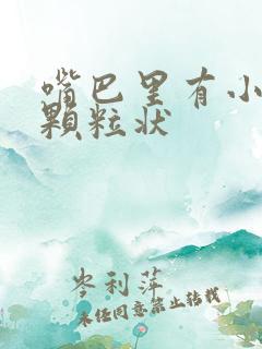 嘴巴里有小白点颗粒状