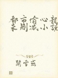 都市偷心龙爪手未删减小说