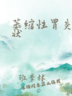 萎缩性胃炎得症状