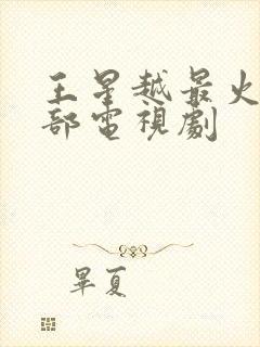 王星越最火的十部电视剧