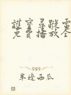 护宝寻踪电视剧免费播放全集