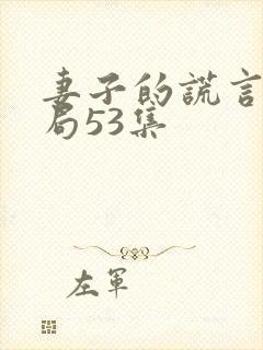 妻子的谎言大结局53集