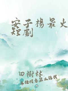 安子杨最火十部短剧